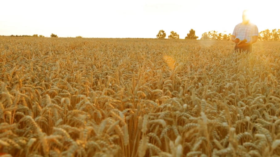 Im Video erfahren Sie mehr über bayerische Landwirte.