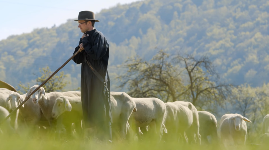 Im Video erfahren Sie mehr über die Haltung von Schafen in Bayern.