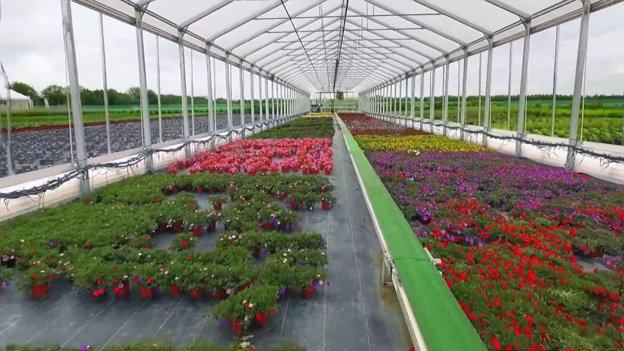 In diesem Video erfahren Sie mehr über den Gartenbau.